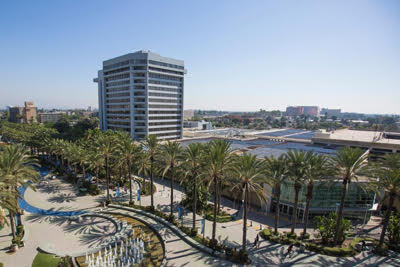 Anaheim marijuana/cannabis delivery dispensary